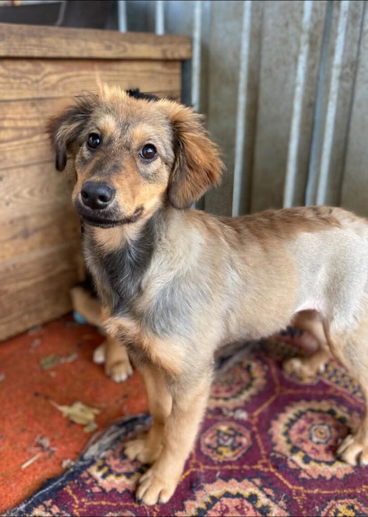 whatsapp image 2025 11 21 à 12.14.52 d1363f28