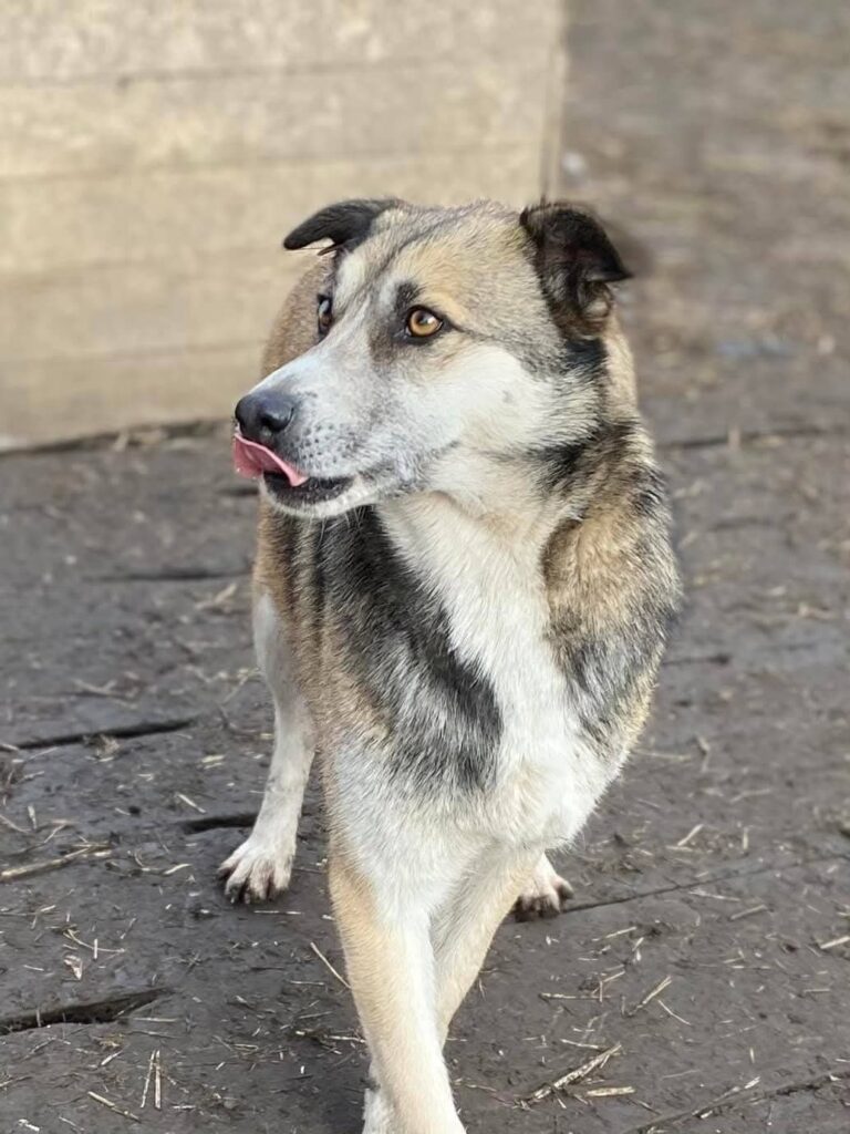 whatsapp image 2025 11 21 à 22.05.22 08e92f31