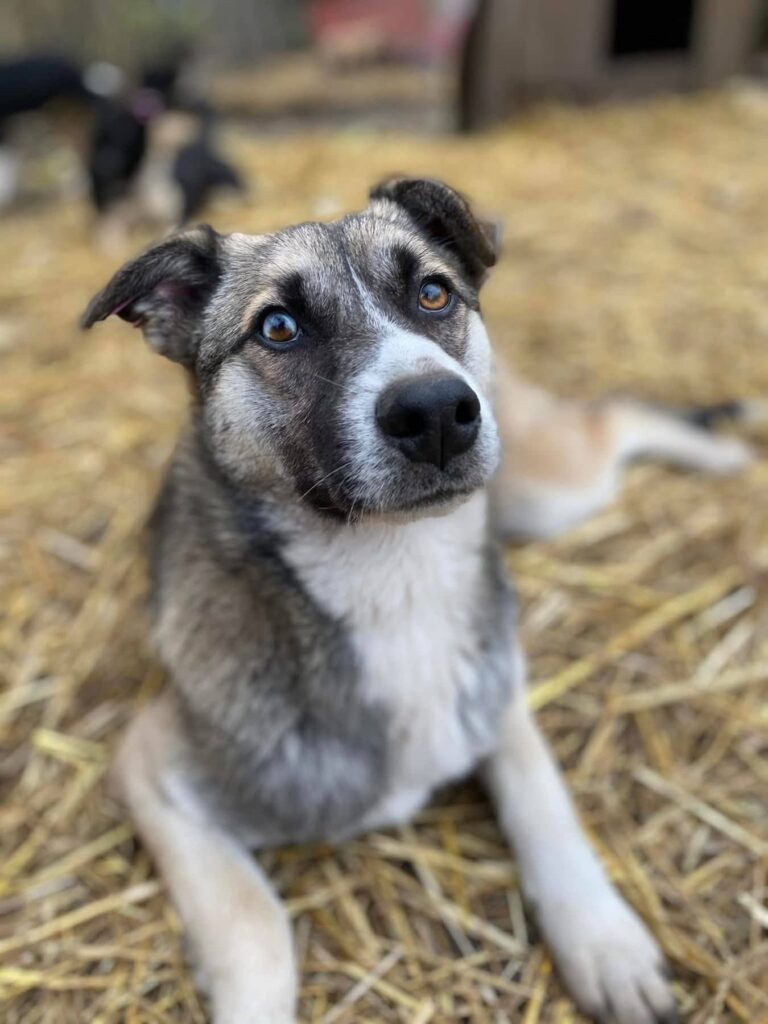 whatsapp image 2025 11 21 à 22.05.22 ff463c23