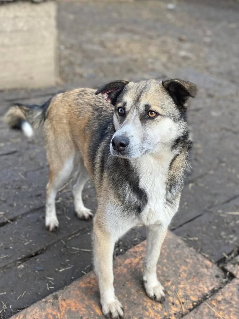 whatsapp image 2025 11 21 à 22.05.23 4731d780