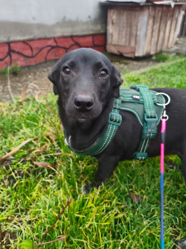 whatsapp image 2025 11 22 à 19.48.24 590b5f20