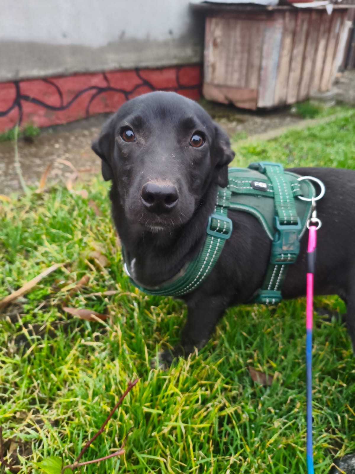 whatsapp image 2025 11 22 à 19.48.24 590b5f20