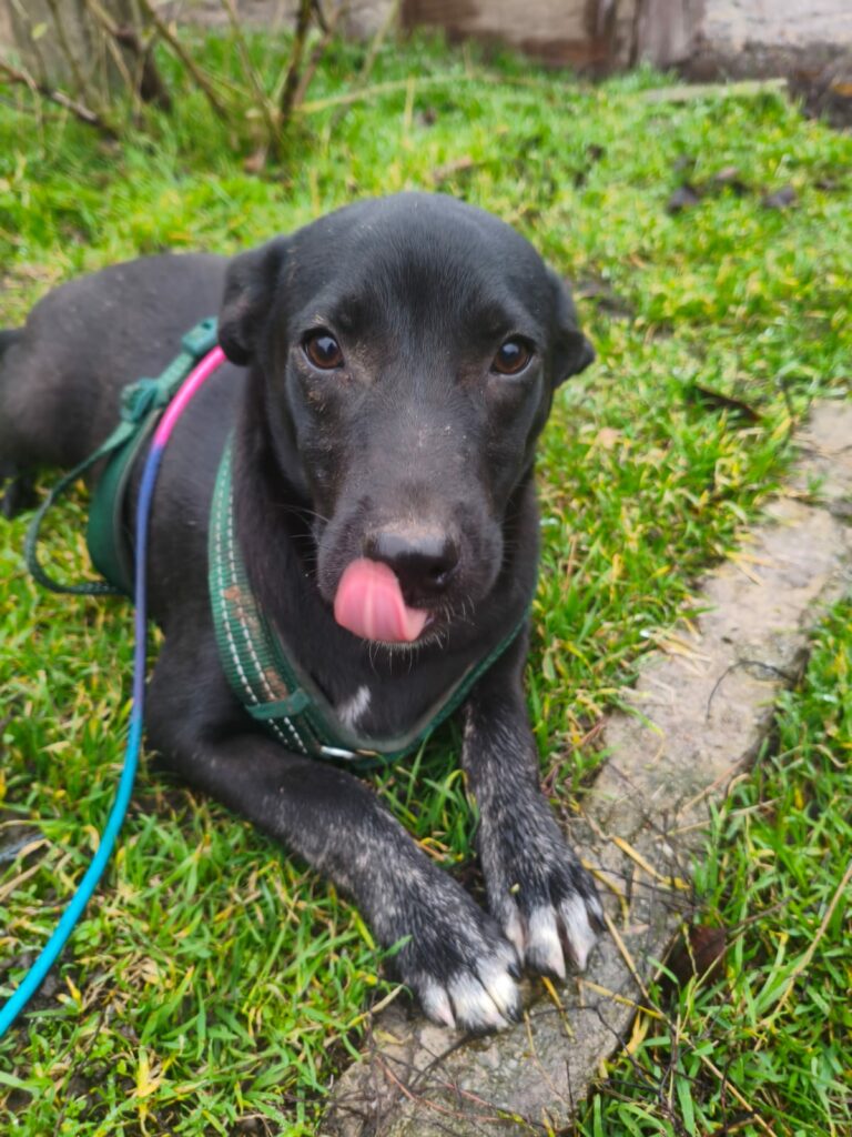 whatsapp image 2025 11 22 à 19.48.24 cbf2ddf4