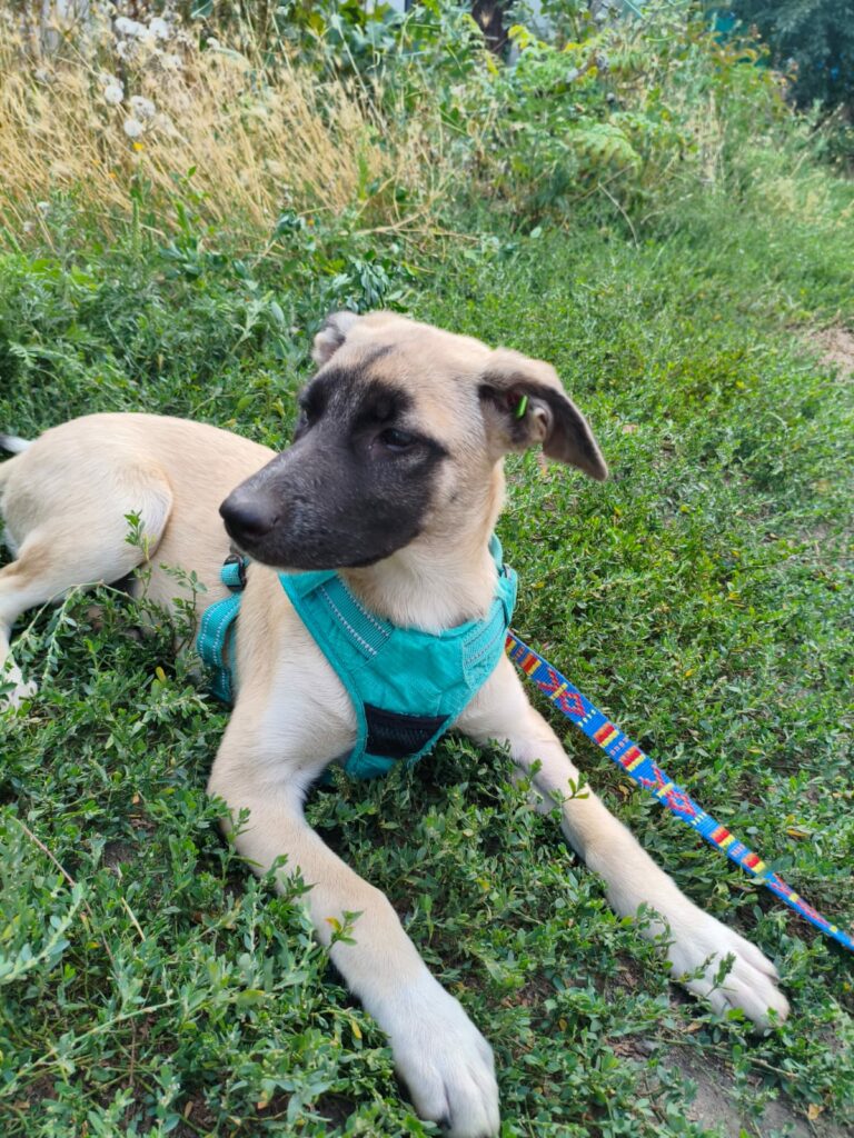 whatsapp image 2025 11 22 à 20.03.07 20c99ca4