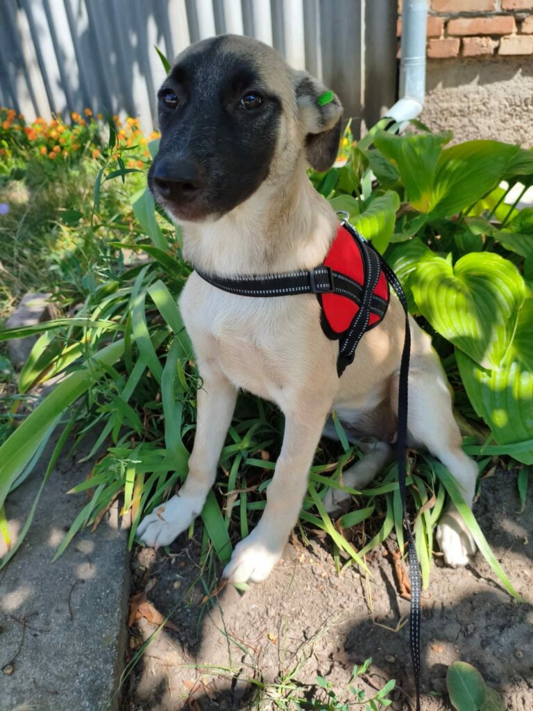 whatsapp image 2025 11 22 à 20.03.07 465ad3be