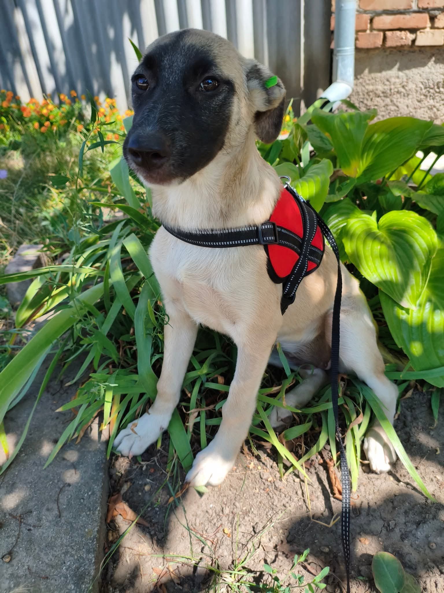 whatsapp image 2025 11 22 à 20.03.07 465ad3be