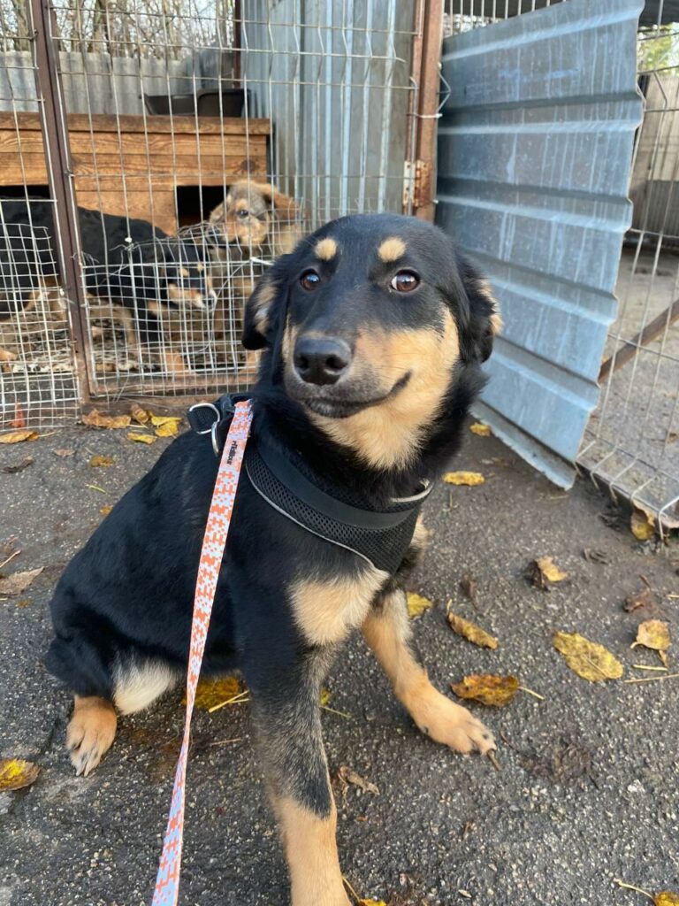 whatsapp image 2025 11 23 à 21.42.38 55dd85da