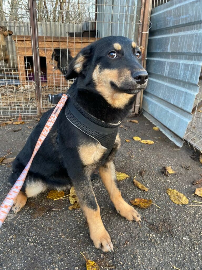 whatsapp image 2025 11 23 à 21.42.38 9ce2c3ad