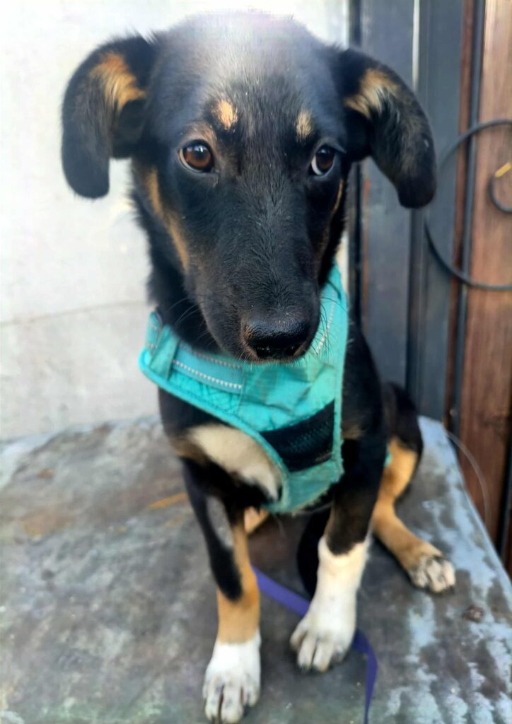 whatsapp image 2025 11 23 à 21.50.32 0b0806fe