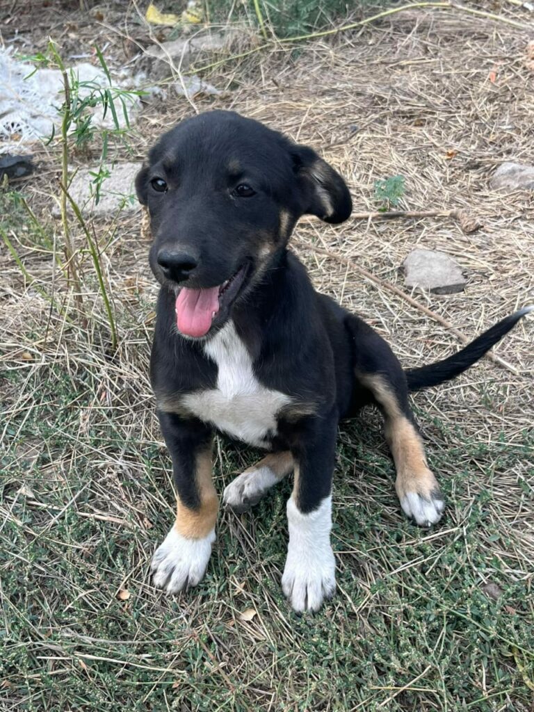 whatsapp image 2025 11 23 à 21.50.32 18936e28