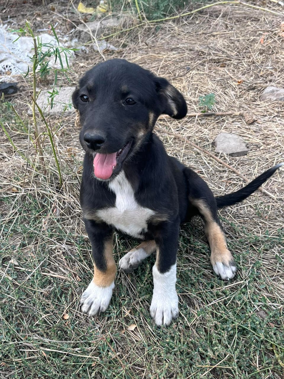 whatsapp image 2025 11 23 à 21.50.32 18936e28