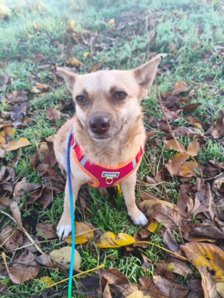 whatsapp image 2025 11 23 à 21.59.12 0ee18825