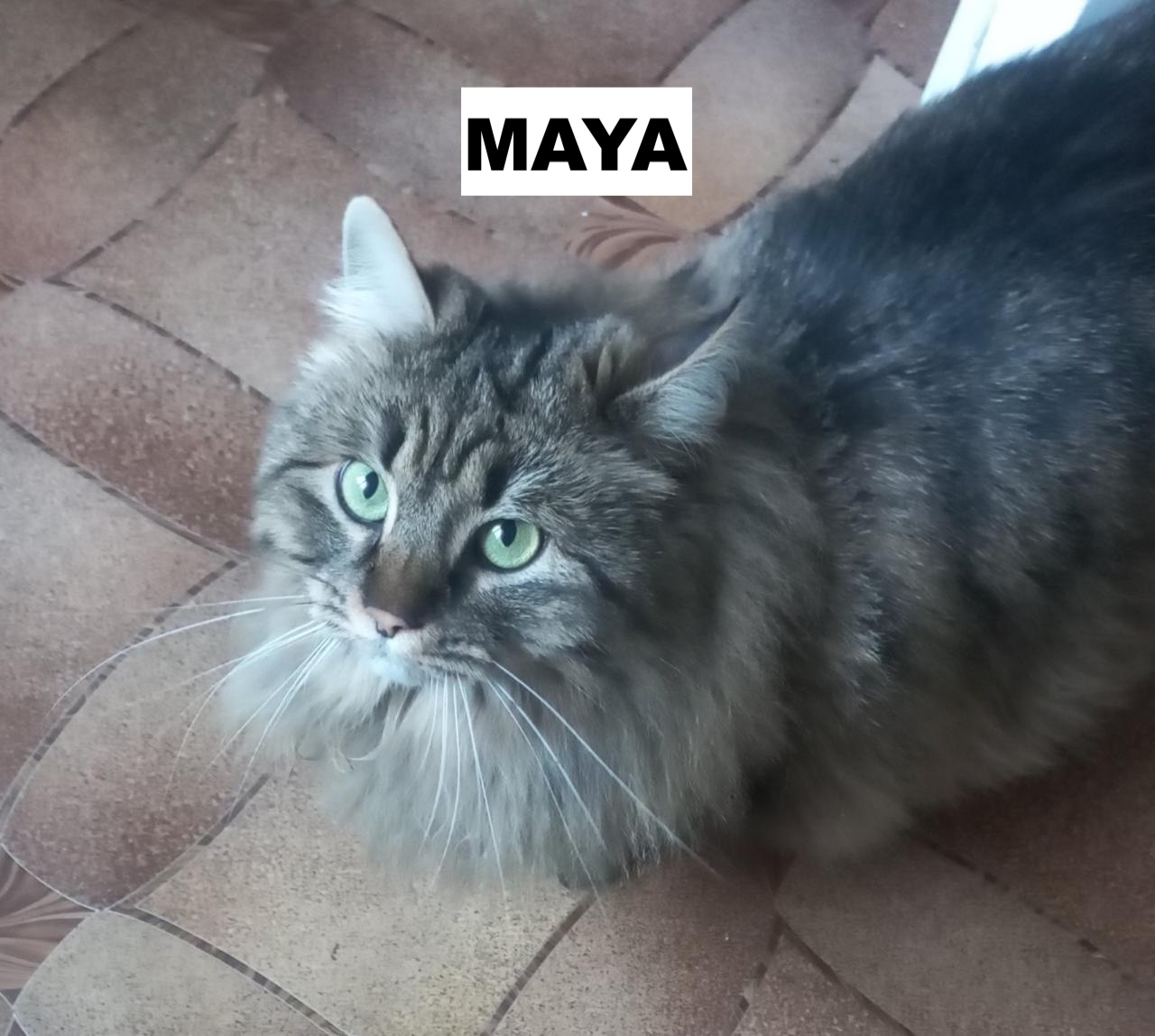 whatsapp image 2026 02 12 at 14.28.17