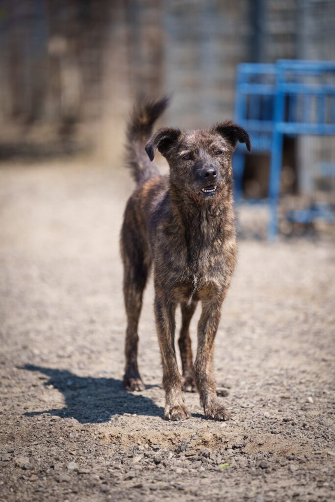 557418008 122168094404483181 3912223191456540988 n (1)