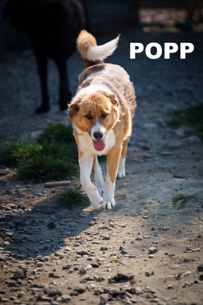 whatsapp image 2025 12 02 at 23.03.45 (2)