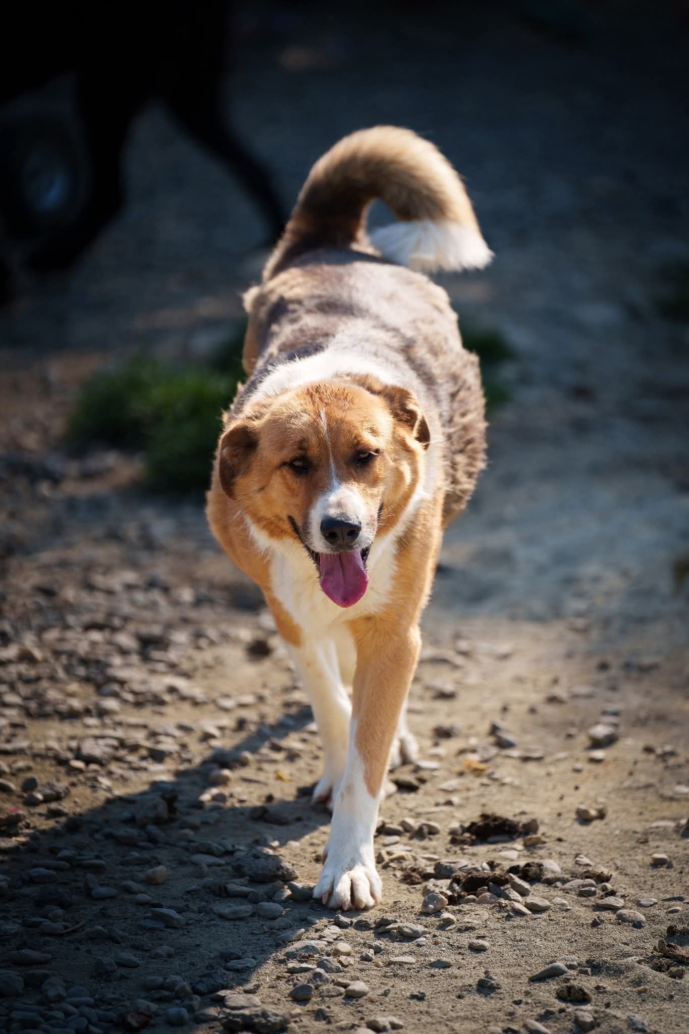 whatsapp image 2025 12 02 at 23.03.45 (2)