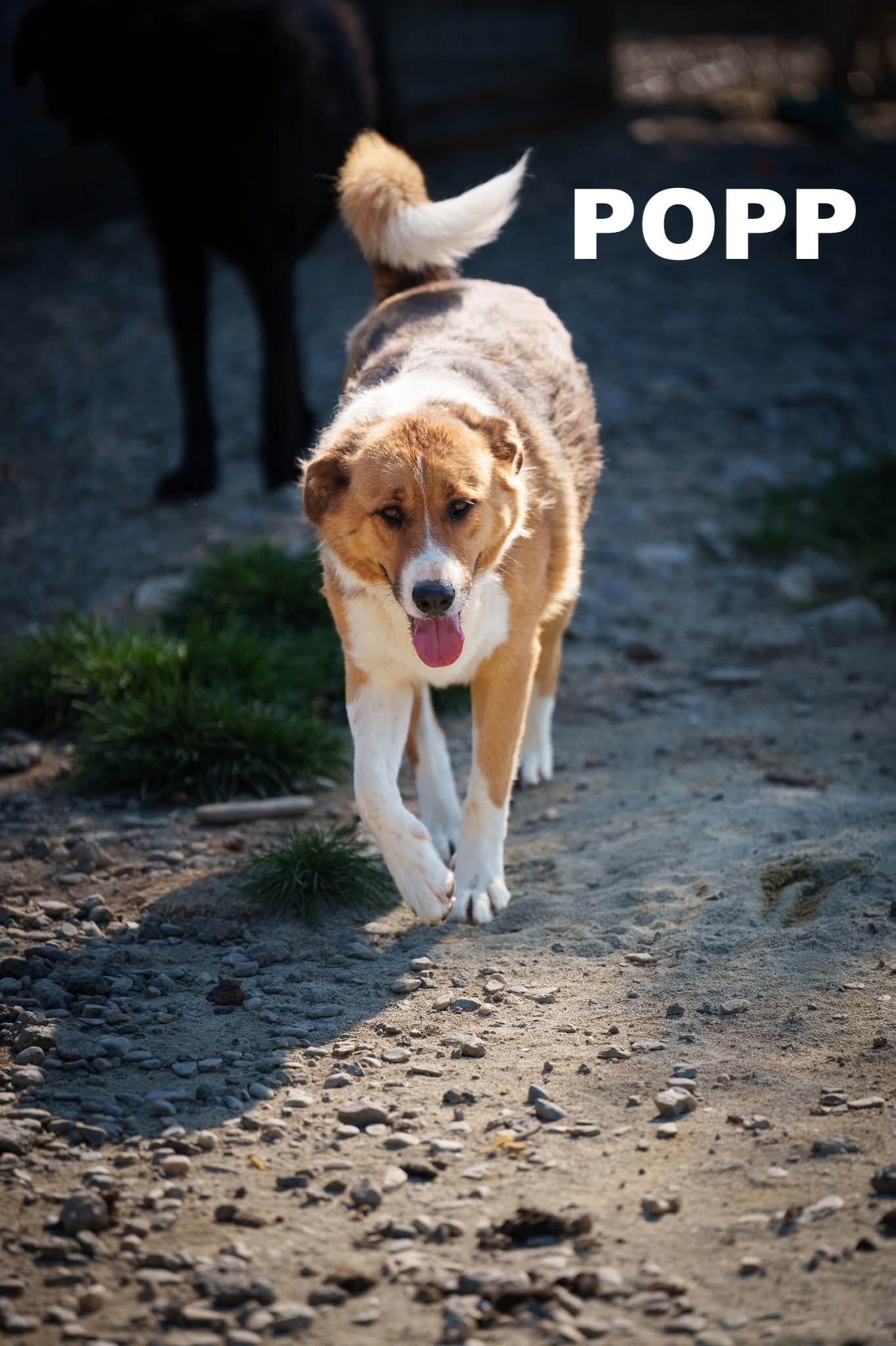 whatsapp image 2025 12 02 at 23.03.45 (2)