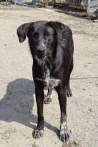 whatsapp image 2025 12 02 at 23.08.25