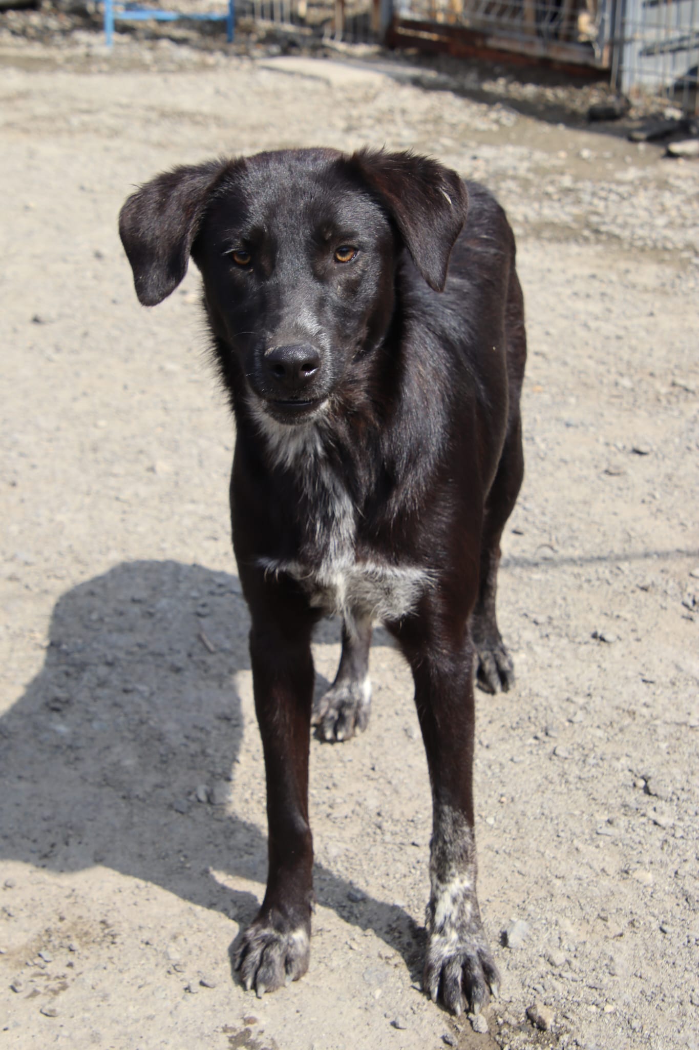 whatsapp image 2025 12 02 at 23.08.25