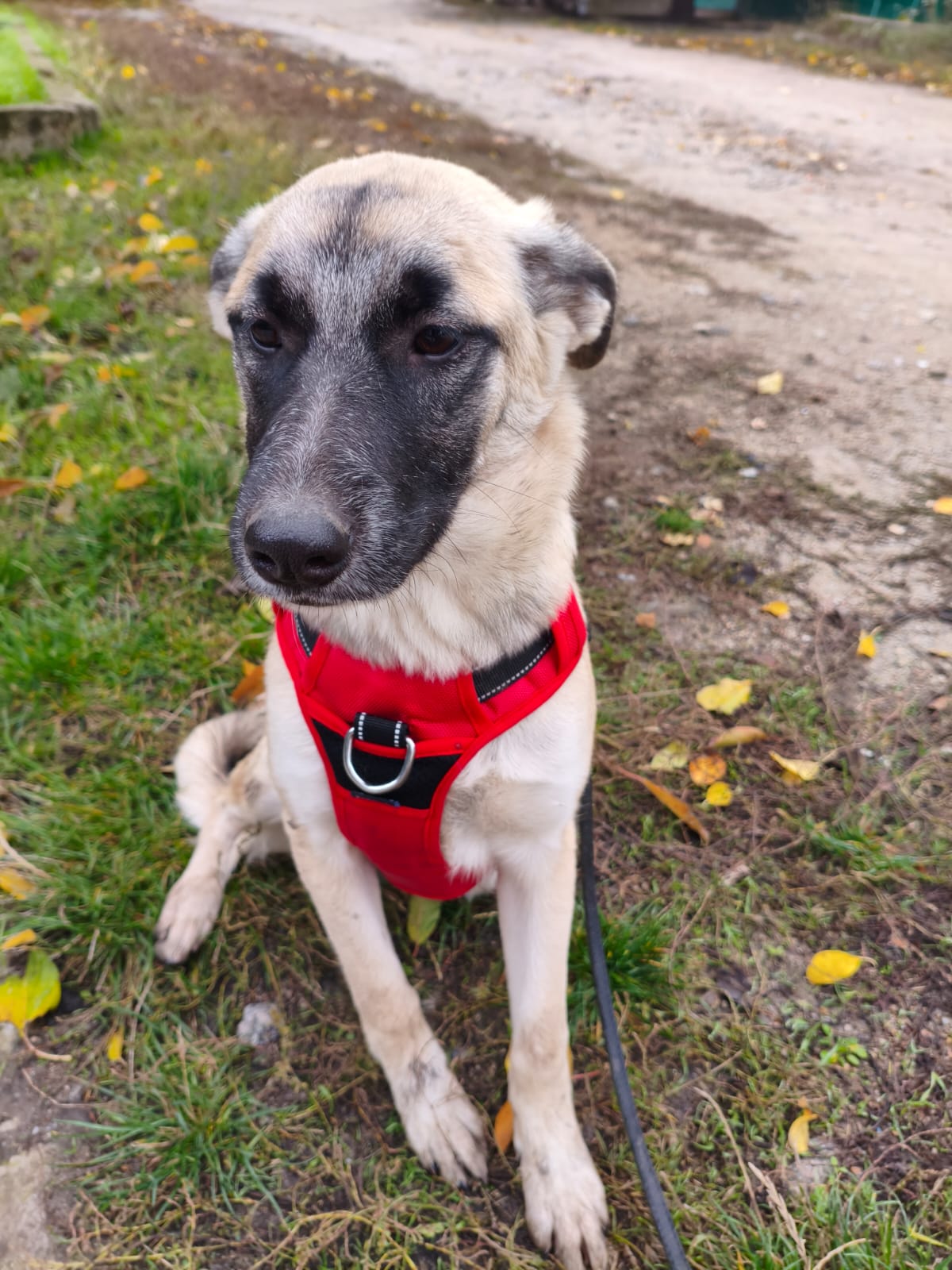 whatsapp image 2025 12 03 at 16.00.51 (1)