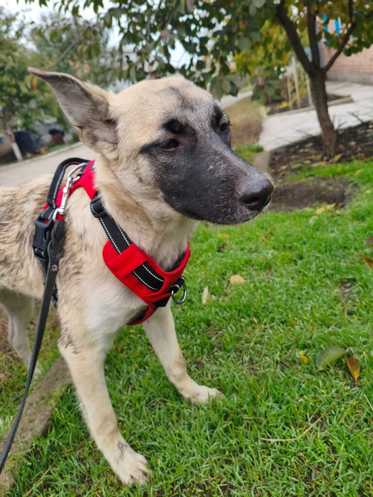 whatsapp image 2025 12 03 at 16.00.52 (1)