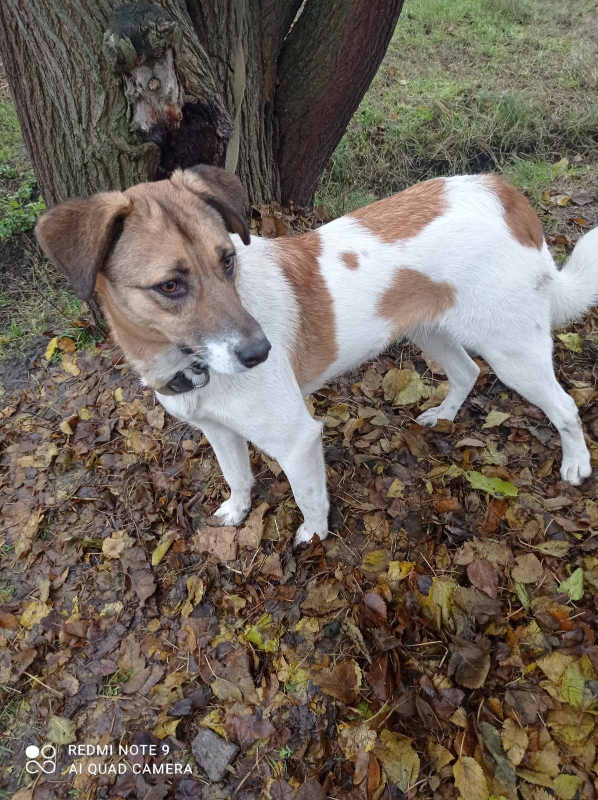 whatsapp image 2025 12 03 at 16.07.40