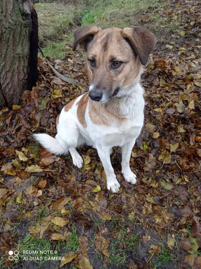 whatsapp image 2025 12 03 at 16.07.41