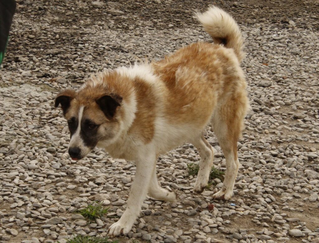 whatsapp image 2025 12 03 at 23.56.57 (2)