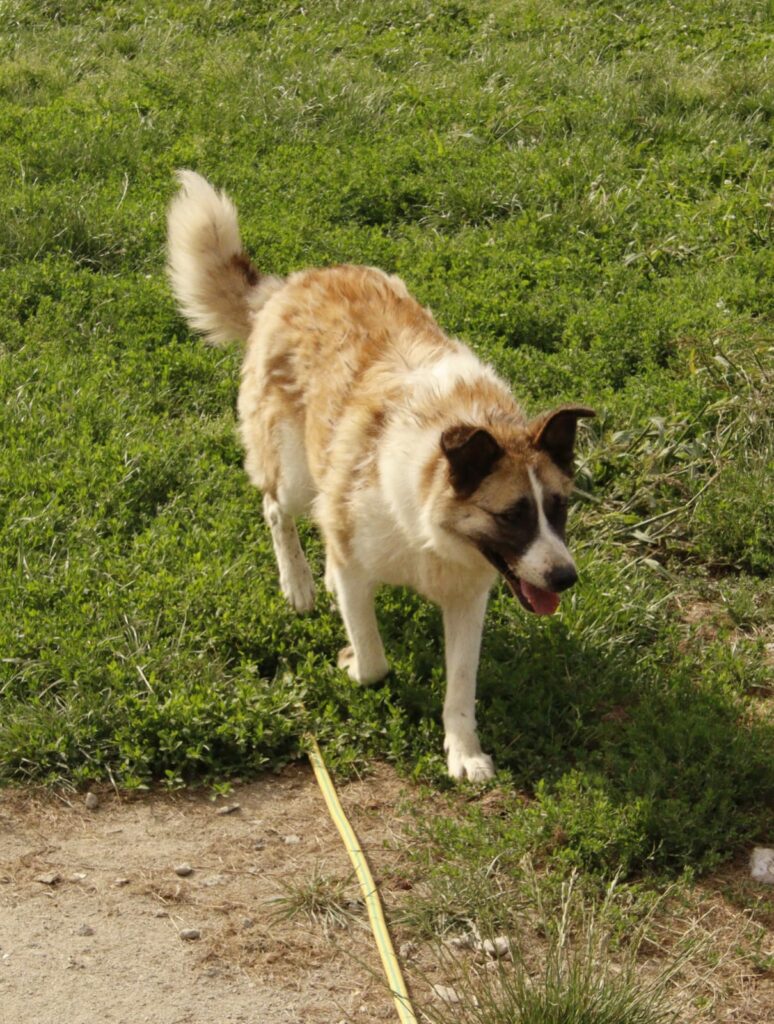 whatsapp image 2025 12 03 at 23.56.58