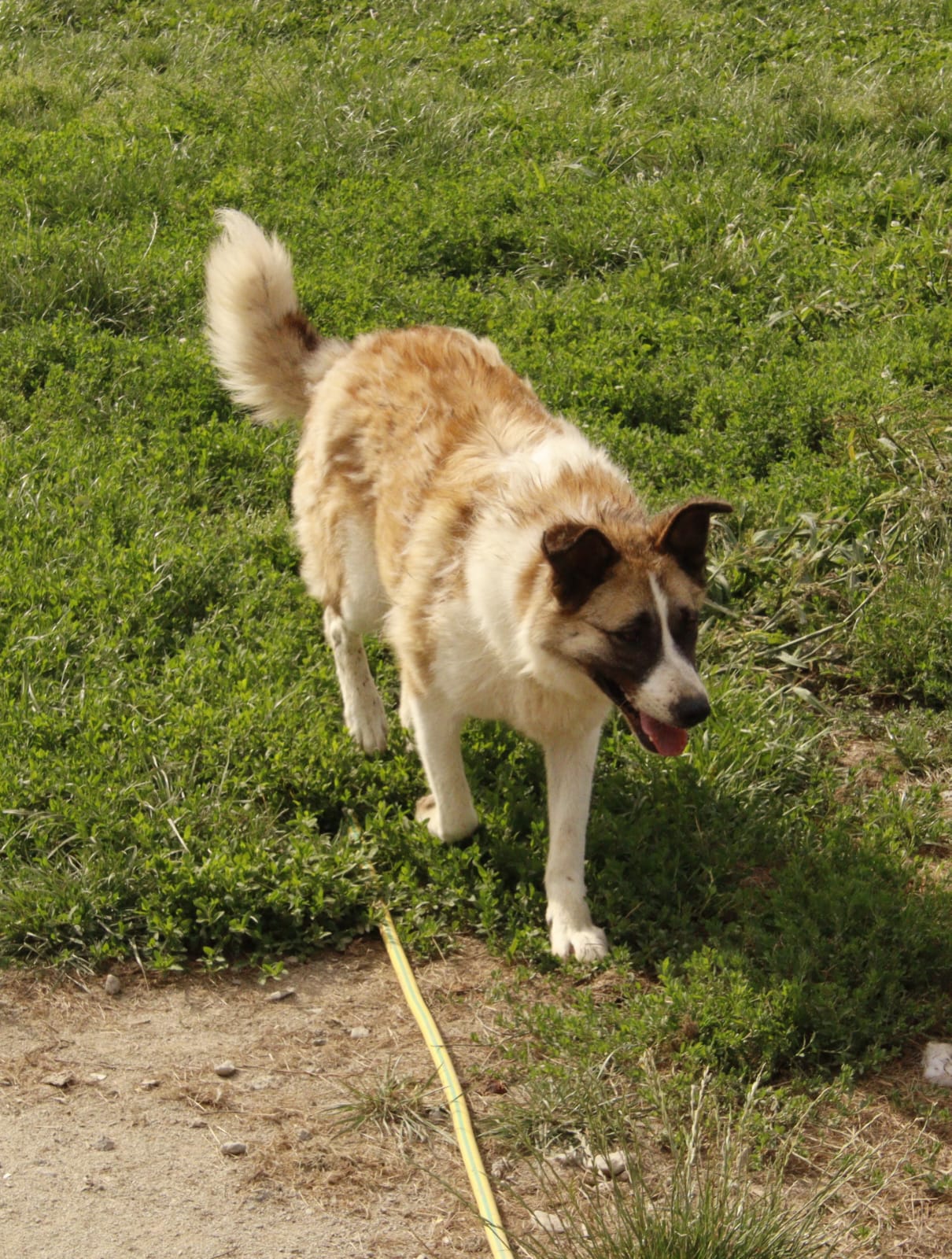 whatsapp image 2025 12 03 at 23.56.58