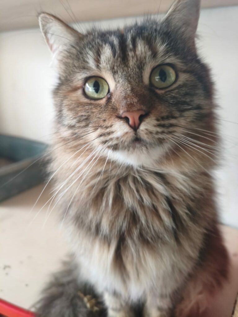 whatsapp image 2025 12 05 at 19.04.32