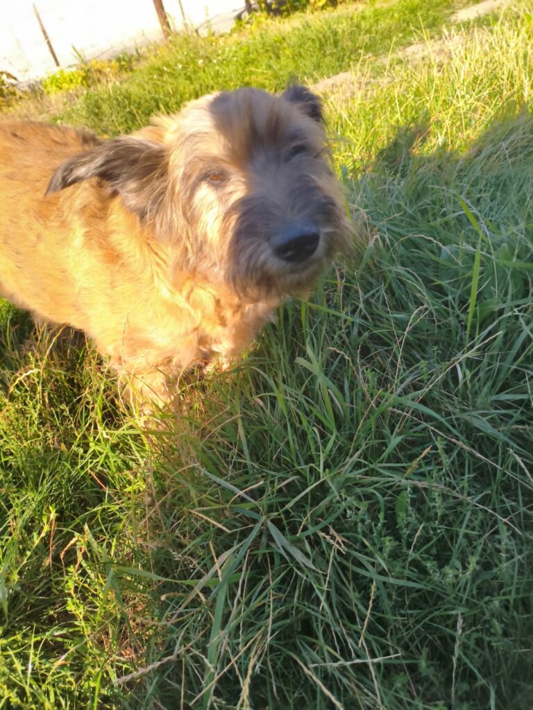 whatsapp image 2025 12 05 at 19.05.55