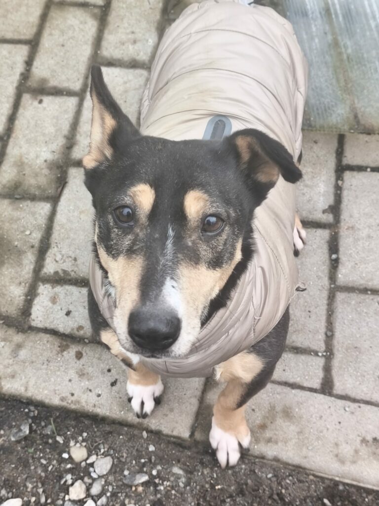 whatsapp image 2025 12 06 at 23.23.15