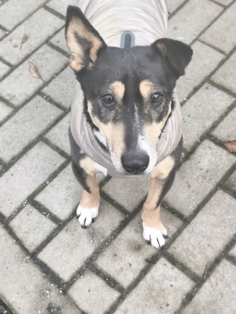 whatsapp image 2025 12 06 at 23.23.16