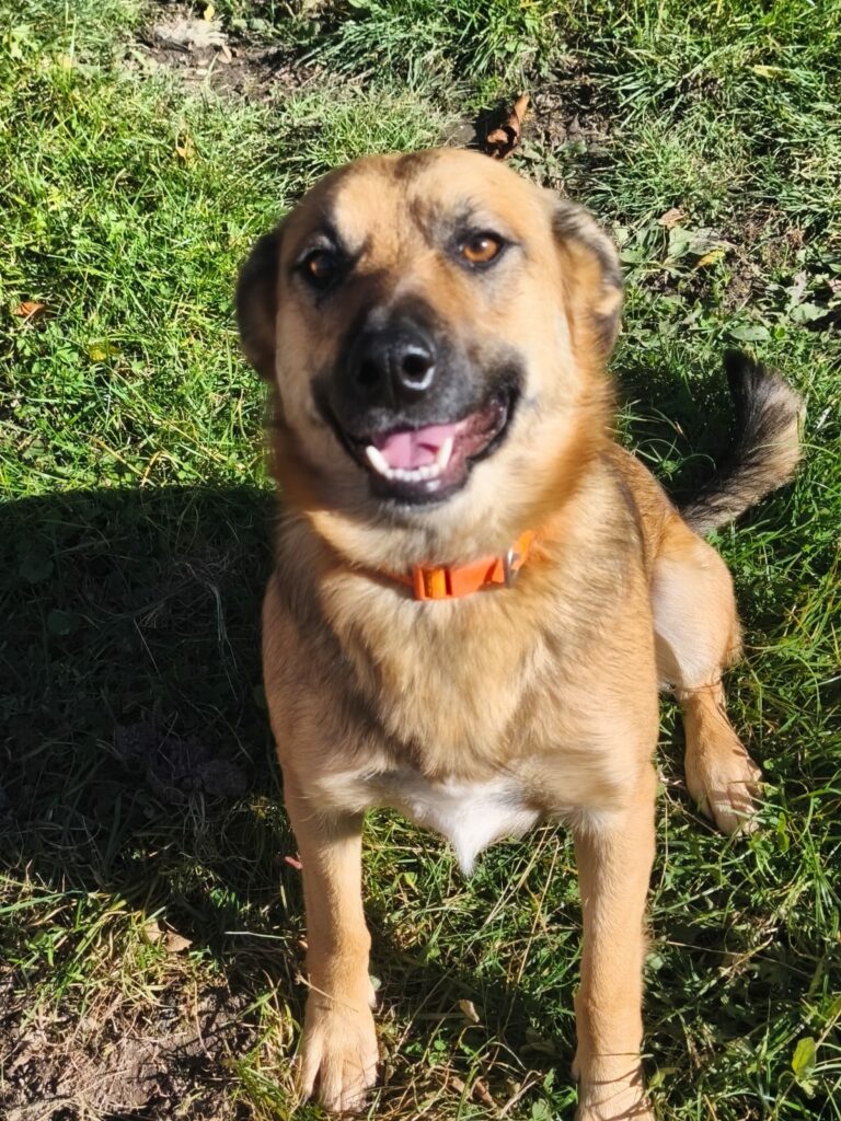 whatsapp image 2025 12 06 at 23.31.59 (2)