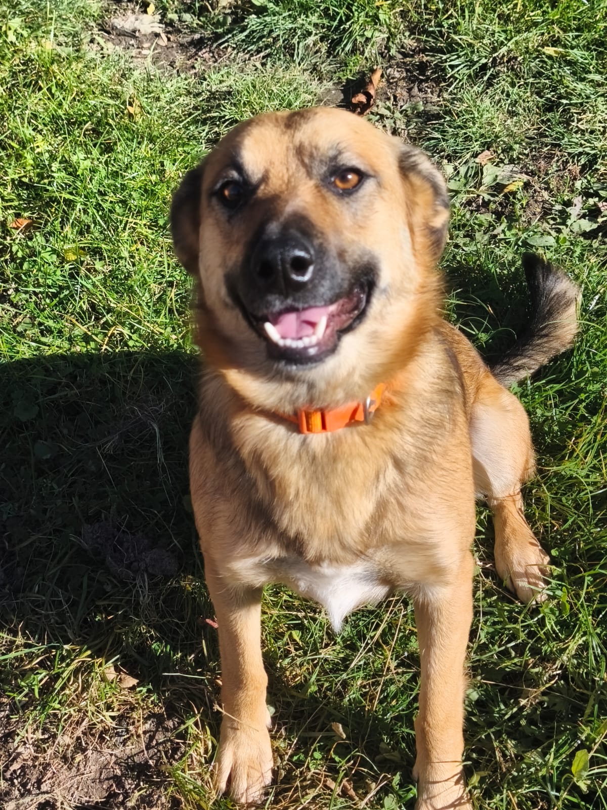 whatsapp image 2025 12 06 at 23.31.59 (2)