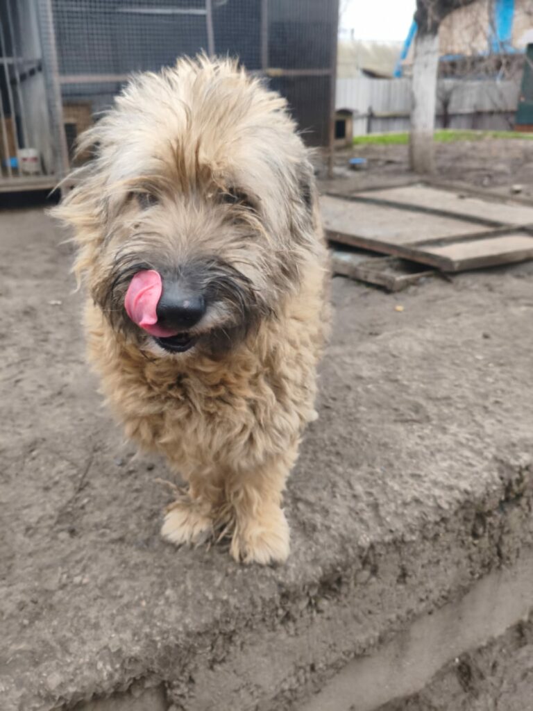 whatsapp image 2025 12 07 at 07.07.32 (1)