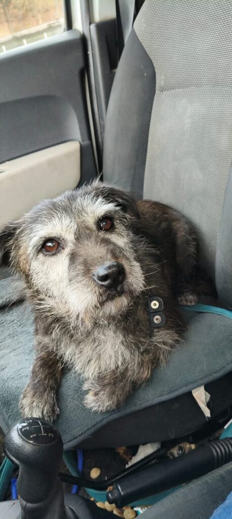 whatsapp image 2025 12 12 at 14.38.04