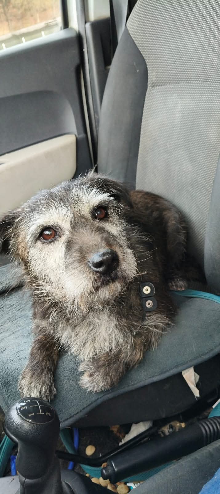 whatsapp image 2025 12 12 at 14.38.04