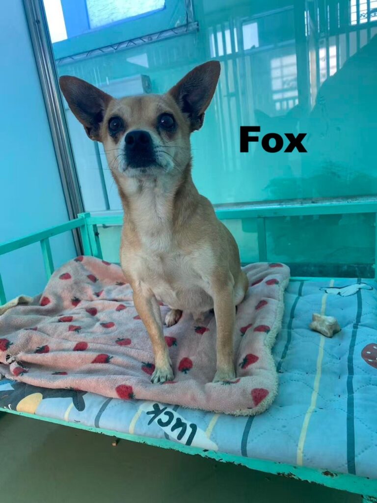 whatsapp image 2025 12 12 at 22.59.50