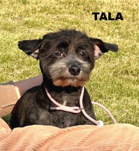 whatsapp image 2025 12 13 at 13.49.19