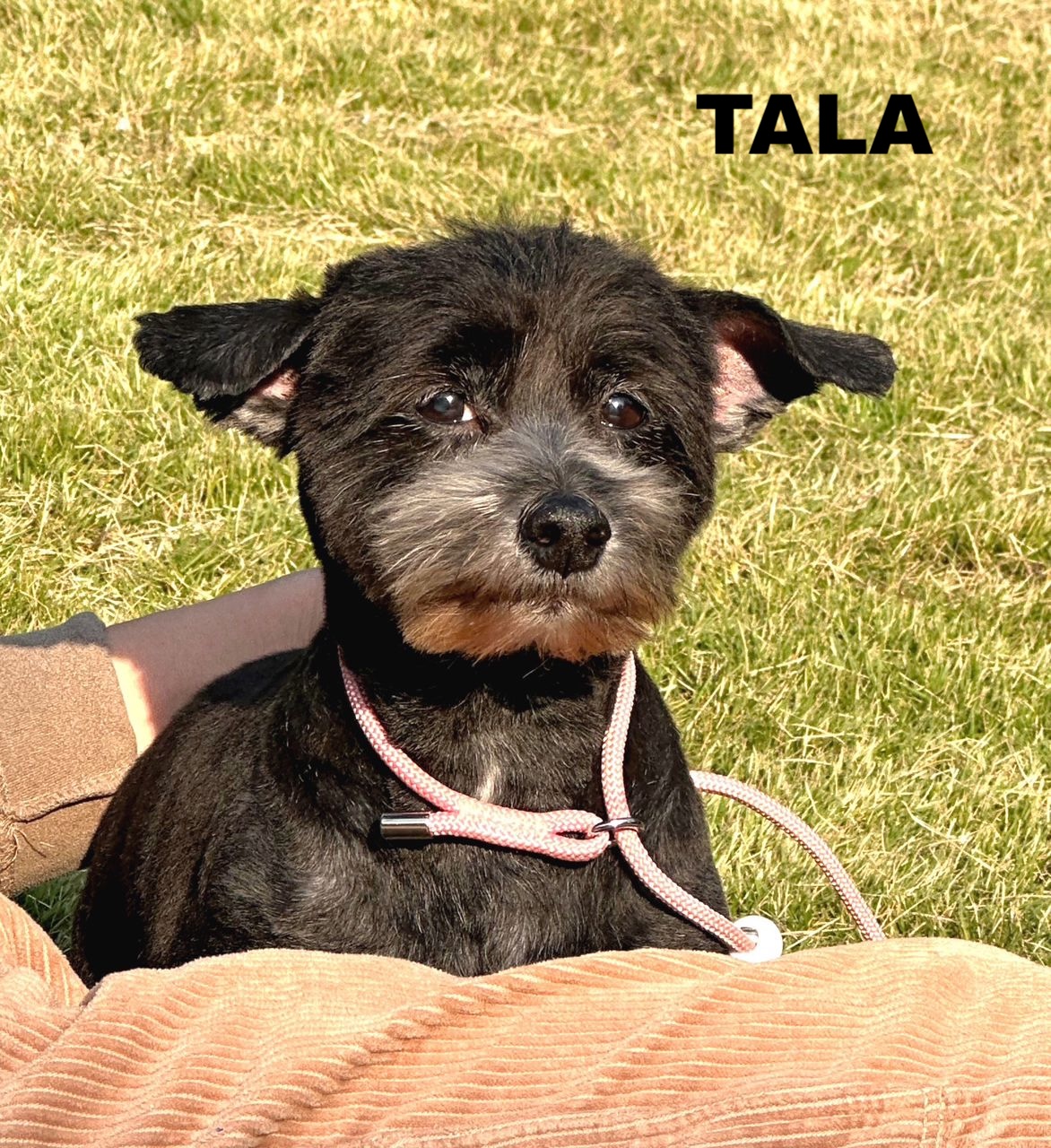 whatsapp image 2025 12 13 at 13.49.19