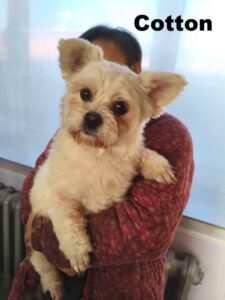 whatsapp image 2025 12 16 at 11.52.45 (1)