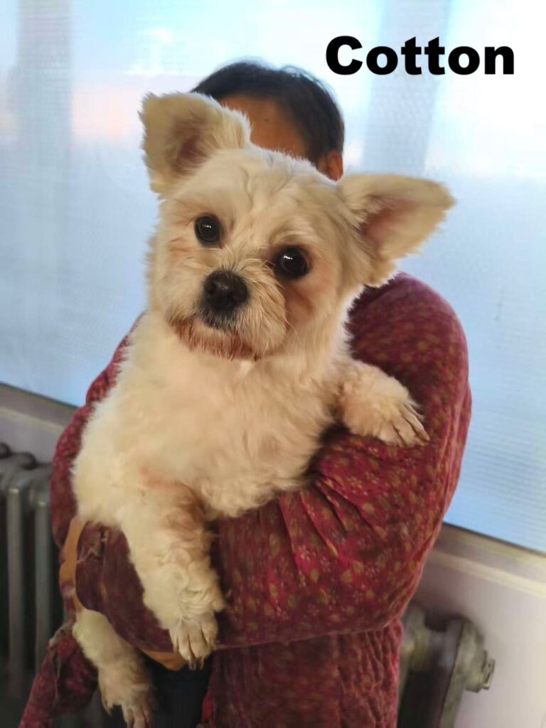 whatsapp image 2025 12 16 at 11.52.45 (1)