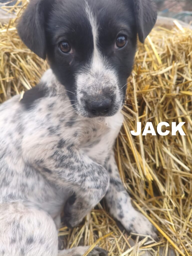 whatsapp image 2025 12 20 at 18.20.31 (1)