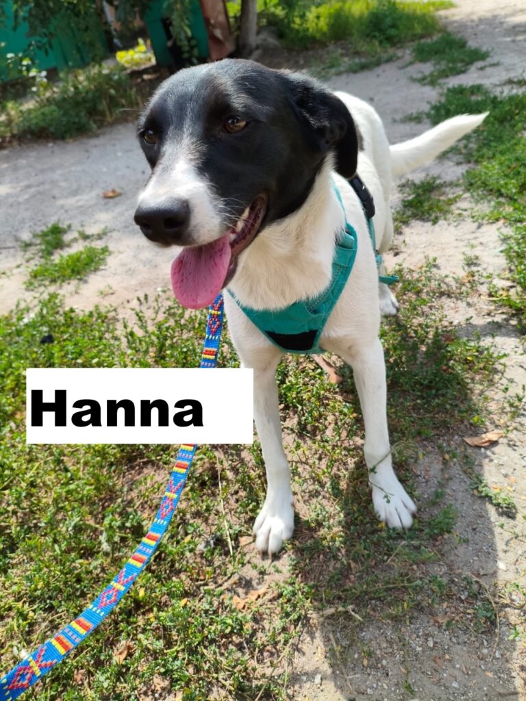 whatsapp image 2025 12 20 at 18.23.54 (2)