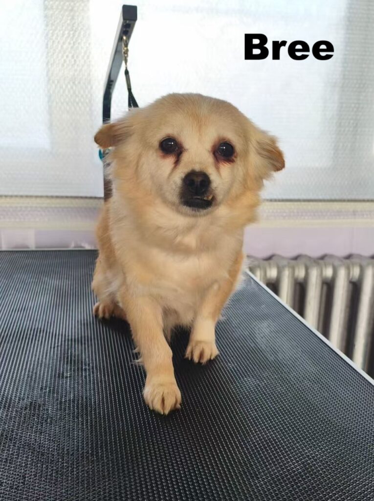 whatsapp image 2025 12 22 at 10.02.13