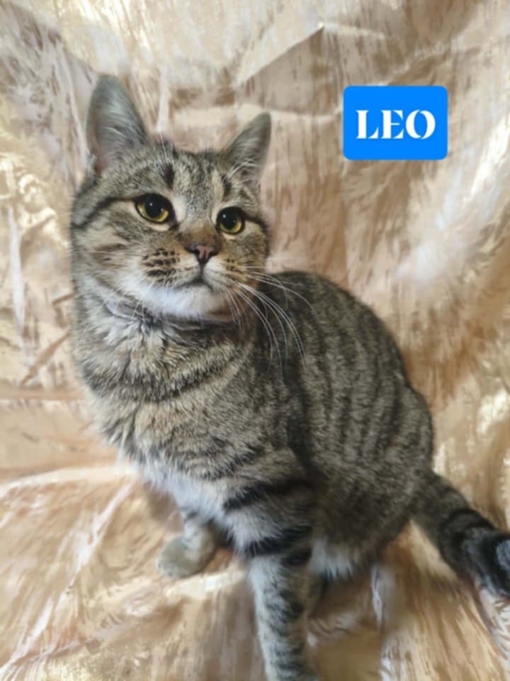 whatsapp image 2025 12 28 at 17.36.29