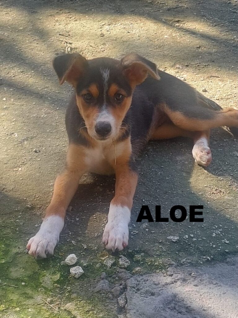 30bd3ff5 7194 45f0 aeeb 544f705730d7