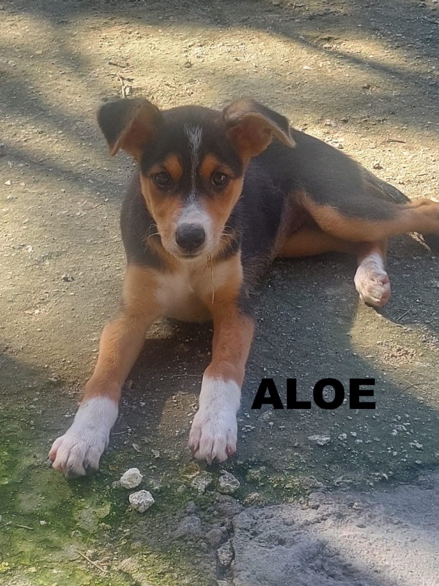 30bd3ff5 7194 45f0 aeeb 544f705730d7